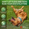 2 Pack Flea and Tick Prevention for Dogs Chewables for All Breeds and Ages 240 Treats